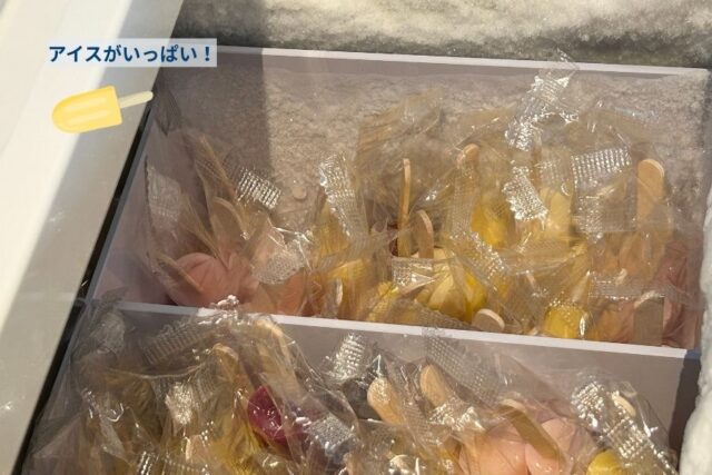 星野リゾートBEB5門司港/MIZUBAにあるアイスバー